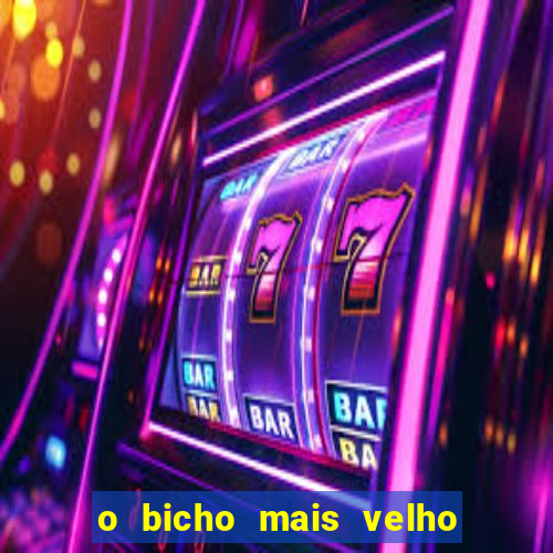 o bicho mais velho da loteria dos sonhos